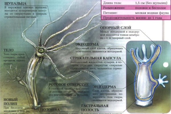 Кракен даркнет зайти