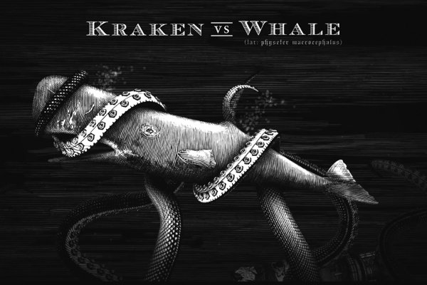 Kraken рабочее зеркало