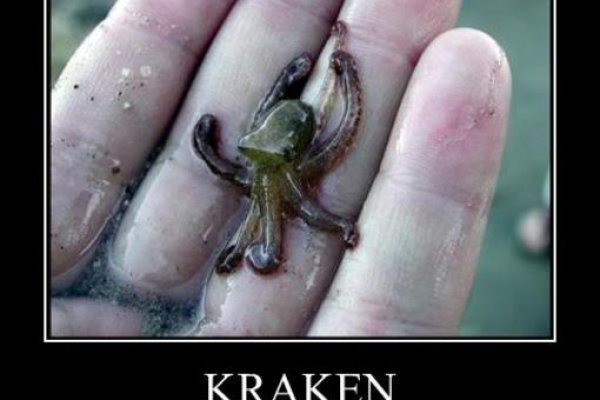 Kraken даркнет рынок