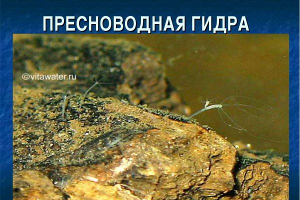 Кракен безопасный вход