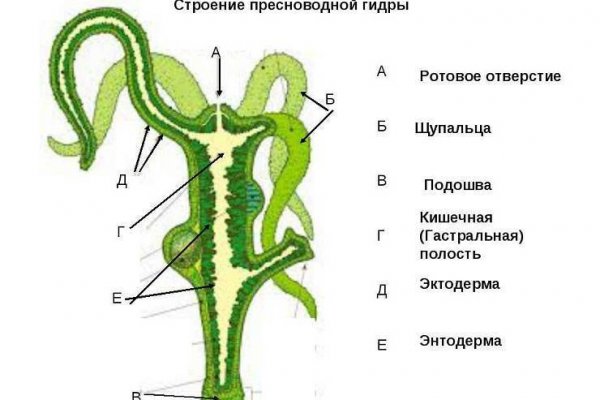 Кракен даркнет krawebes