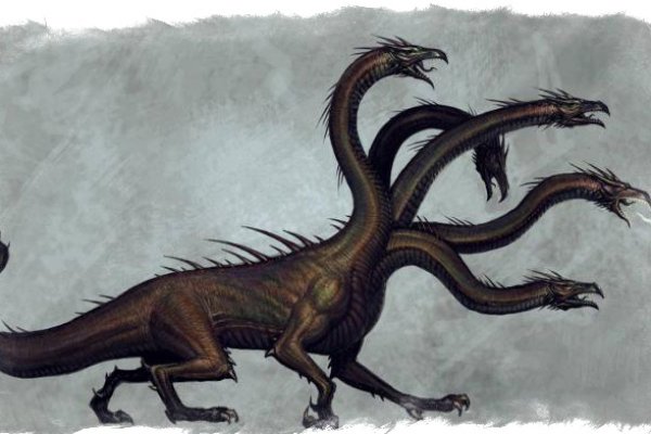 Kraken19 at