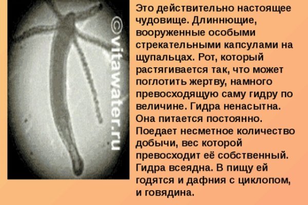 Кракен маркет даркнет слушать
