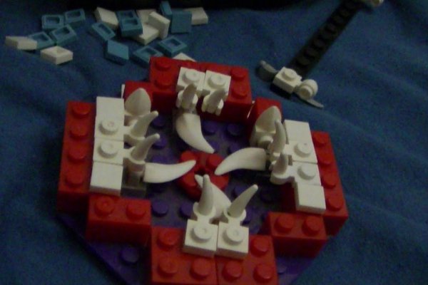 Kraken19 at