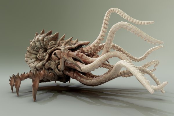 Kraken darknet kraken darknet 2n com